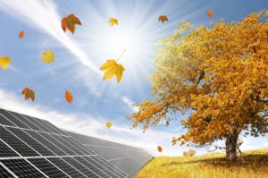 autumn leaves over solar panels