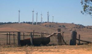 wind turbines in field