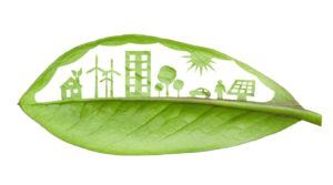 Solar Energy Updates. Green leaf illustration of renewable energy