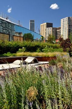 gardens with city in background