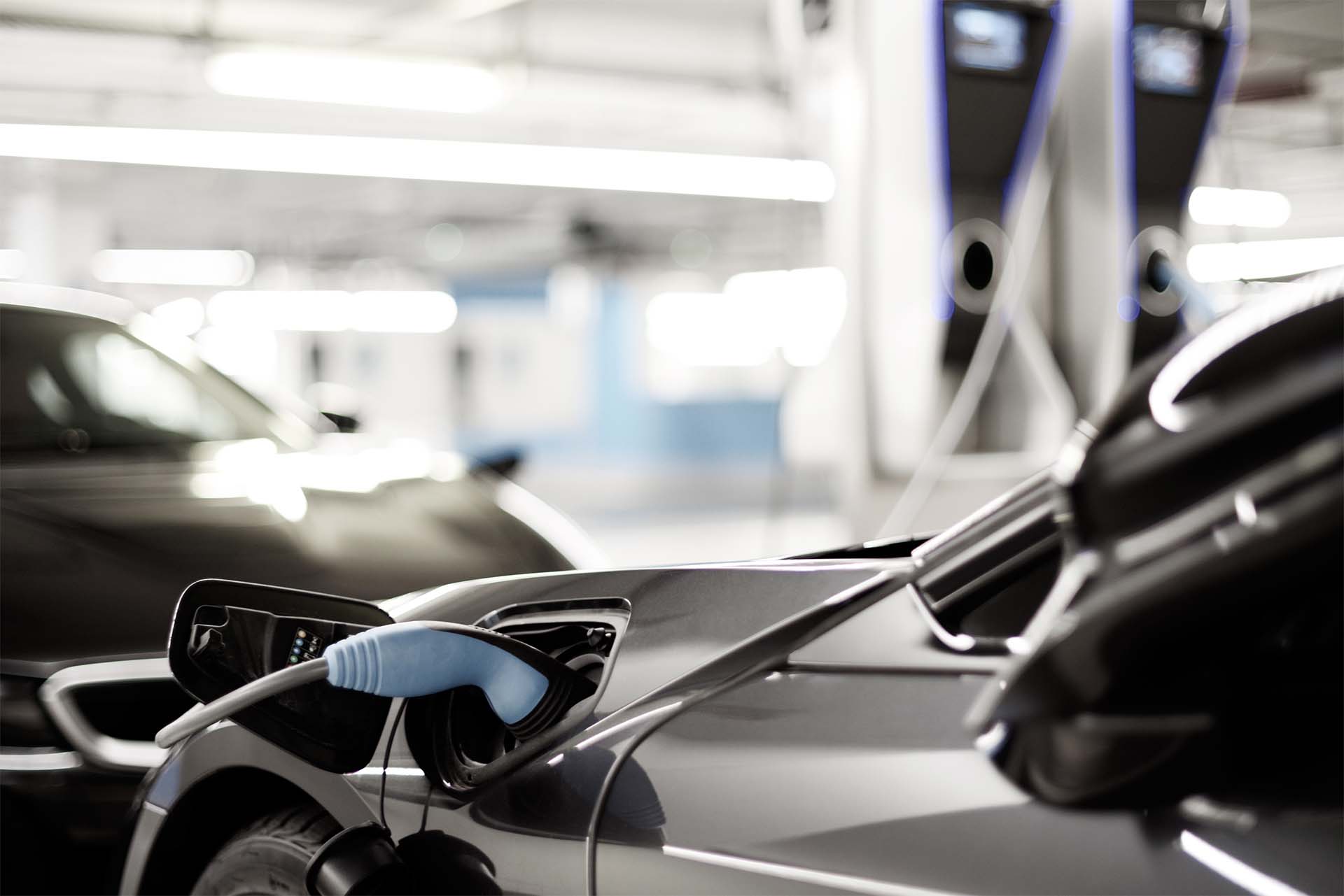 WA Government EV Charger Rebate Solar Market